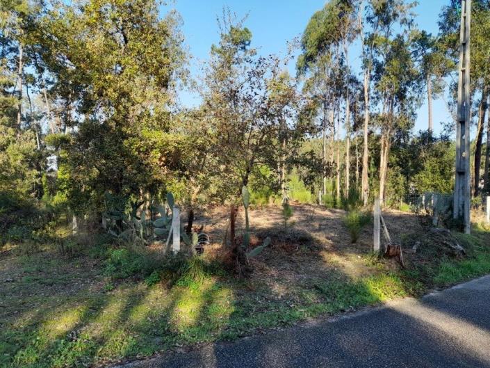 Image No.13-Plot for sale