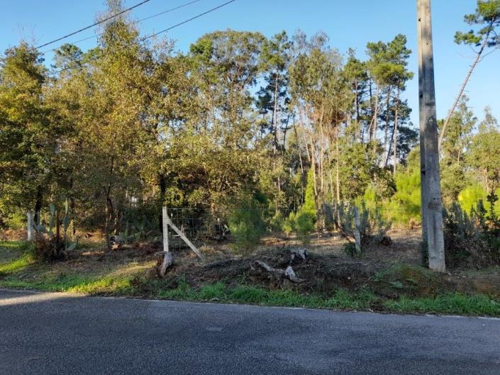 Image No.14-Plot for sale