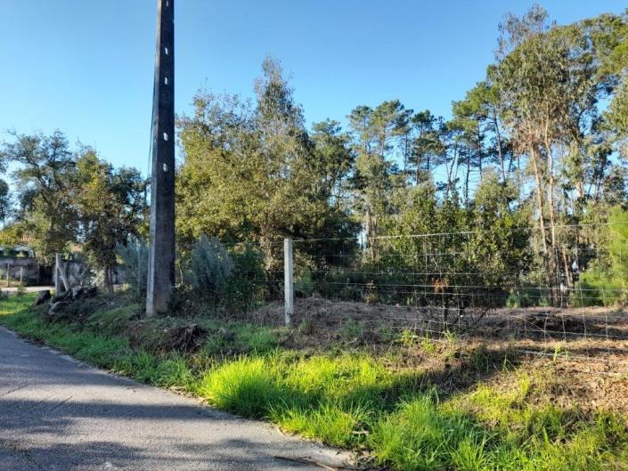 Image No.15-Plot for sale