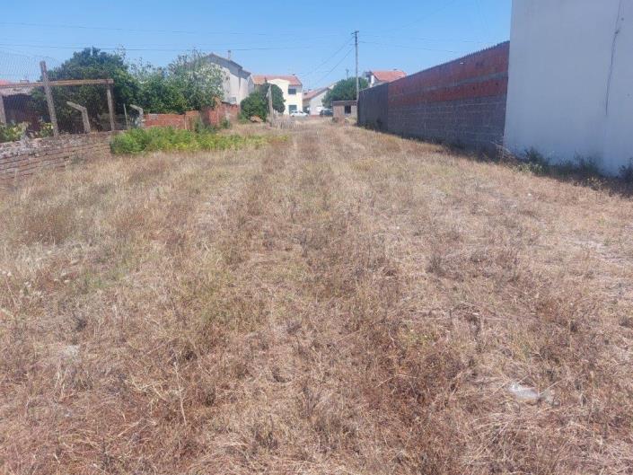 Image No.11-Plot for sale