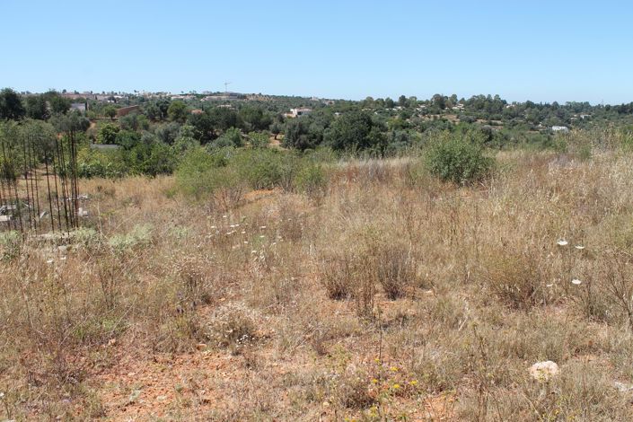 Image No.4-39 Bed Land for sale