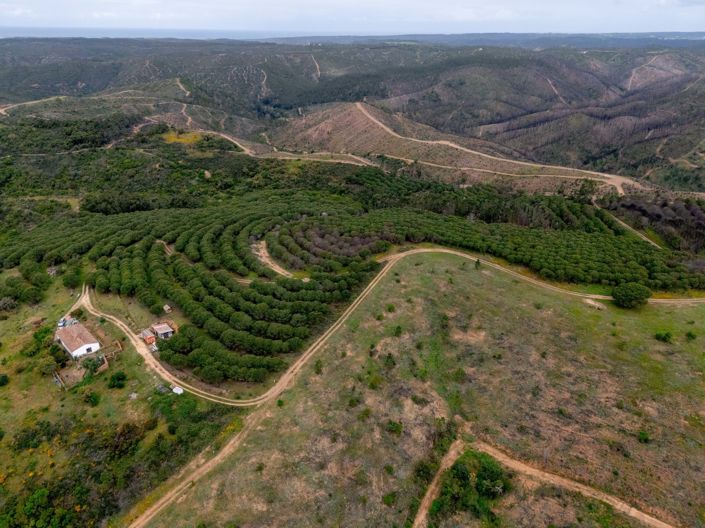 Image No.17-3 Bed Villa for sale