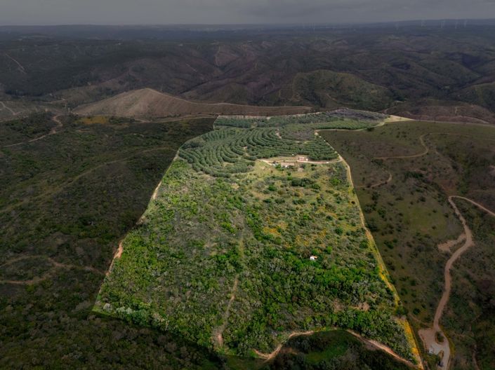 Image No.6-3 Bed Villa for sale