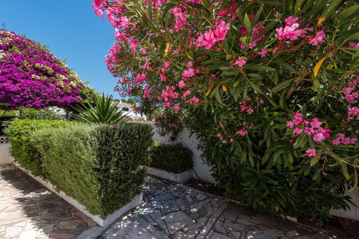 Image No.53-6 Bed Villa for sale