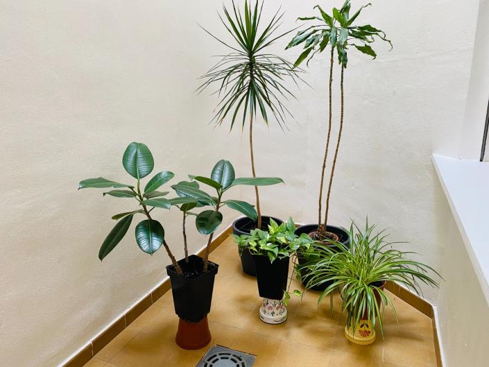 Image No.12-Appartement de 2 chambres à vendre à Torrevieja