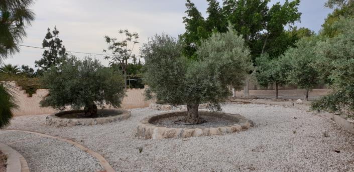 Image No.13-5 Bed Finca for sale