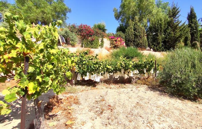 Image No.20-5 Bed Finca for sale