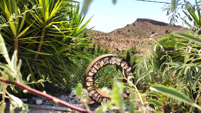 Image No.24-5 Bed Finca for sale