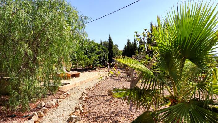 Image No.45-5 Bed Finca for sale