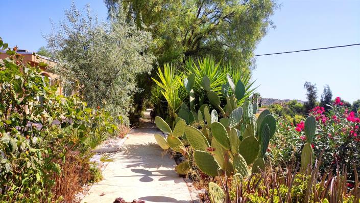 Image No.50-5 Bed Finca for sale