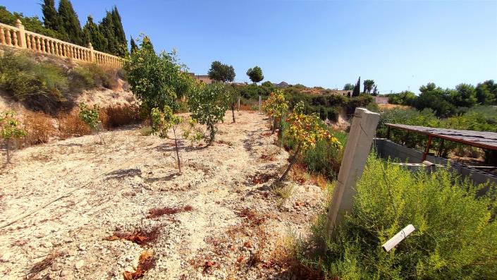 Image No.52-5 Bed Finca for sale