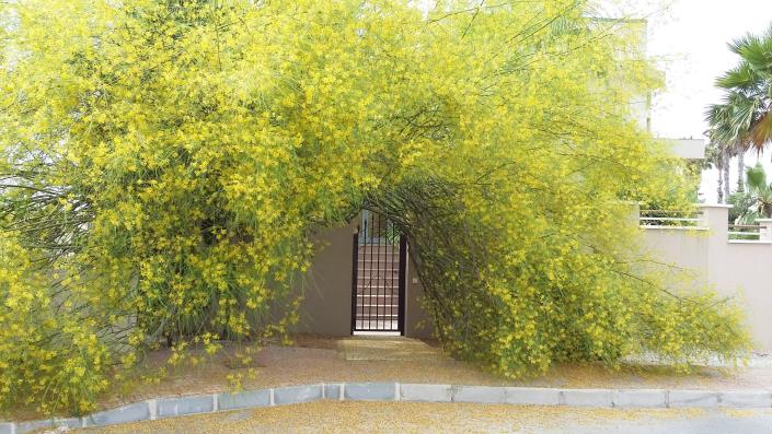 Image No.58-Villa / Détaché de 4 chambres à vendre à Ciudad Quesada