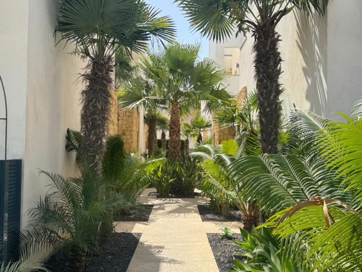 Image No.4-Villa / Détaché de 2 chambres à vendre à Ciudad Quesada