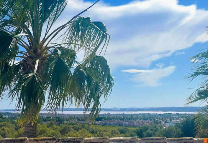 Image No.28-Appartement de 2 chambres à vendre à Ciudad Quesada