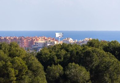 Petra Honig most sold property