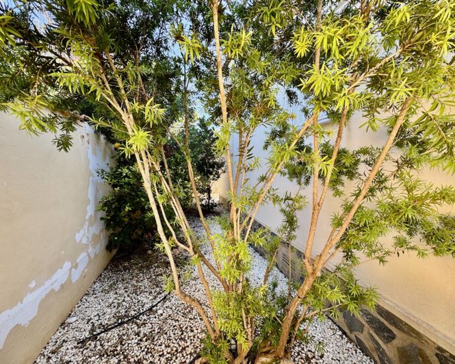 Image No.24-Villa de 4 chambres à vendre à Ciudad Quesada