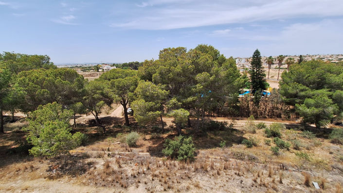 Image No.9-Appartement de 2 chambres à vendre à Ciudad Quesada