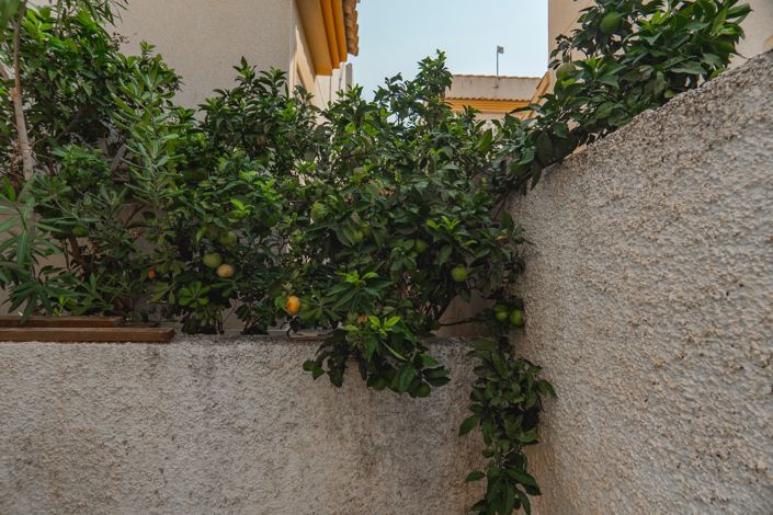 Image No.34-Villa de 3 chambres à vendre à Ciudad Quesada