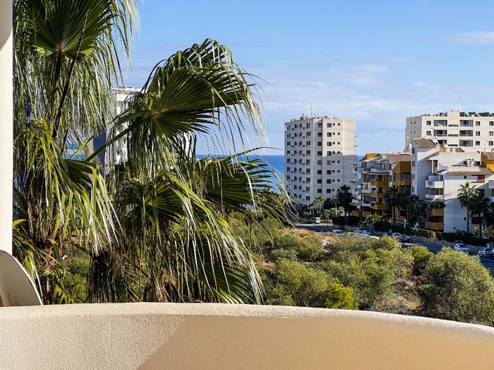 Image No.14-Appartement de 2 chambres à vendre à Punta Prima