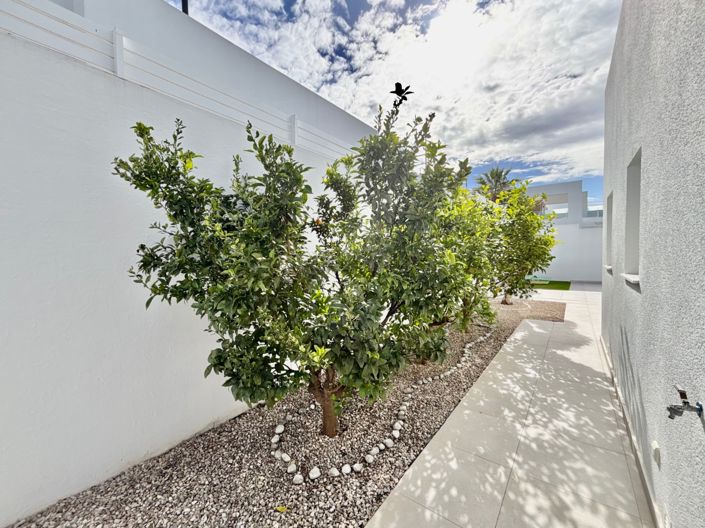 Image No.34-3 Bed Villa for sale