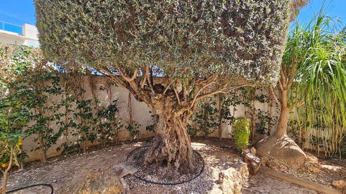 Image No.22-4 Bed Villa for sale