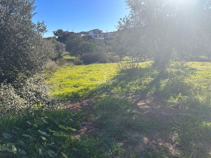 Image No.4-Terre à vendre à Loule