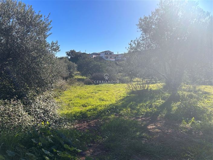 Image No.5-Terre à vendre à Loule