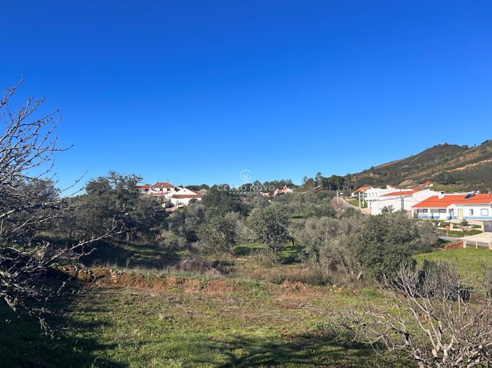 Image No.6-Terre à vendre à Loule