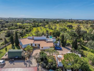 2419-338579-d4a7072701644bd18f6c9ffe77b802fa4