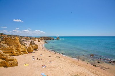 2419-242218-d4a7072701644bd18f6c9ffe77b802fa4