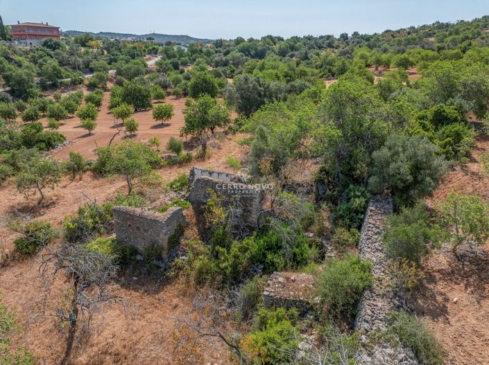 Image No.5-Propriété à vendre à Boliqueime