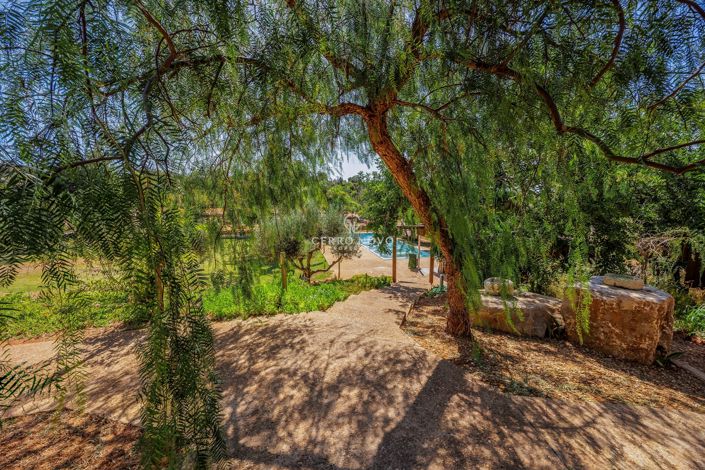 Image No.27-5 Bed Villa for sale