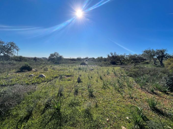 Image No.2-Land for sale