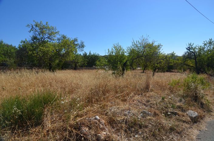 Image No.4-Land for sale