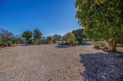 2419-359226-d4a7072701644bd18f6c9ffe77b802fa4