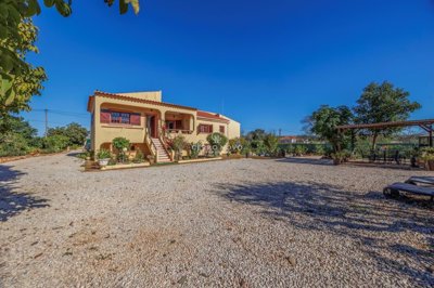 2419-359226-d4a7072701644bd18f6c9ffe77b802fa4