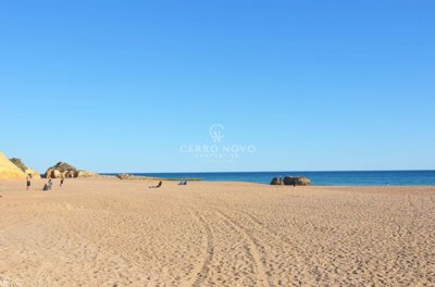 2419-151063-d4a7072701644bd18f6c9ffe77b802fa4