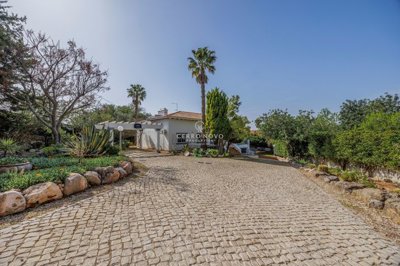 2419-364140-d4a7072701644bd18f6c9ffe77b802fa4