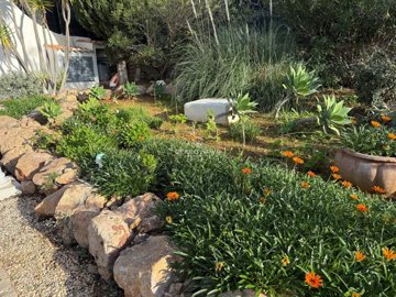 2419-364140-d4a7072701644bd18f6c9ffe77b802fa4