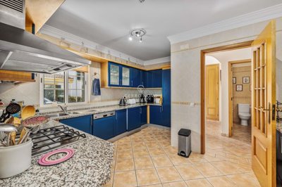 2419-366061-d4a7072701644bd18f6c9ffe77b802fa4