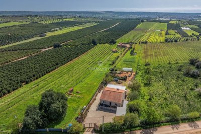 2419-152834-d4a7072701644bd18f6c9ffe77b802fa4