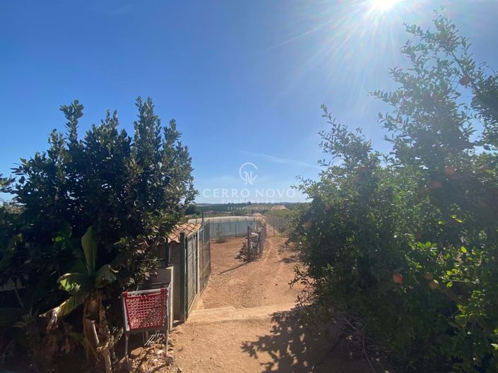 Image No.30-Villa de 3 chambres à vendre à Algoz