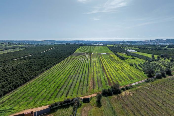 Image No.4-Villa de 3 chambres à vendre à Algoz