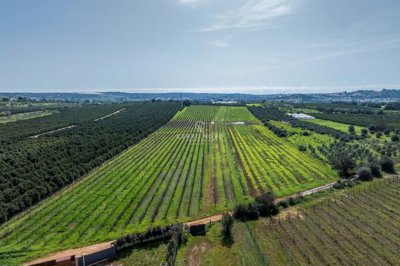 2419-152834-d4a7072701644bd18f6c9ffe77b802fa4