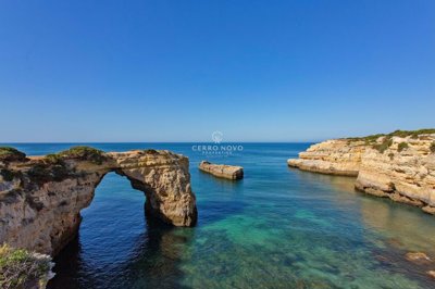 2419-370362-d4a7072701644bd18f6c9ffe77b802fa4