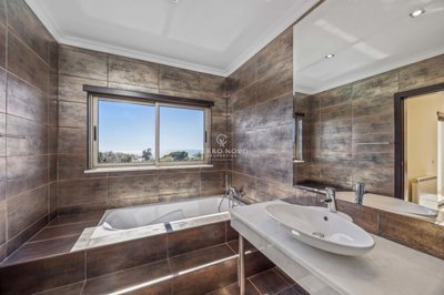 2419-364749-d4a7072701644bd18f6c9ffe77b802fa4