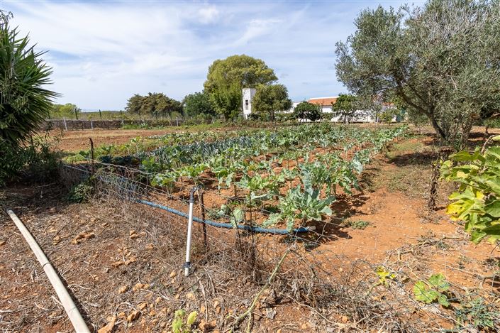 Image No.19-3 Bed Farmhouse for sale