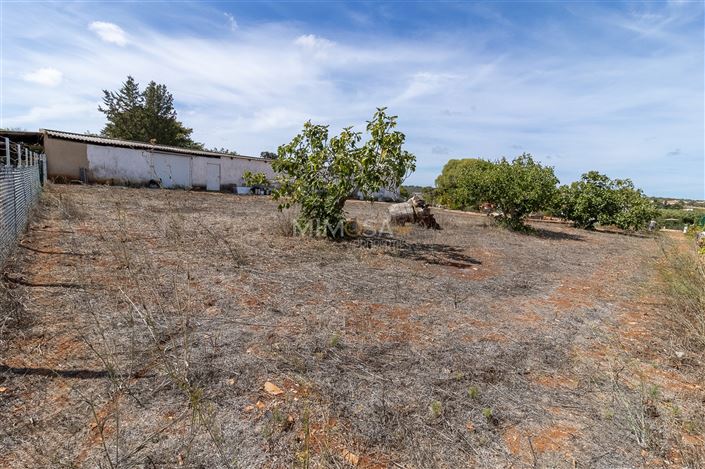 Image No.21-3 Bed Farmhouse for sale