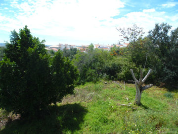 0003ddb5d32383