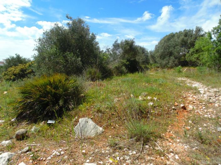 Image No.14-Terrain à vendre à Portimao